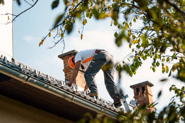 Best Storm Damage Roof Repair  in Capron, IL
