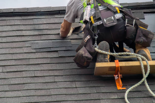 Best Roof Gutter Cleaning  in Capron, IL